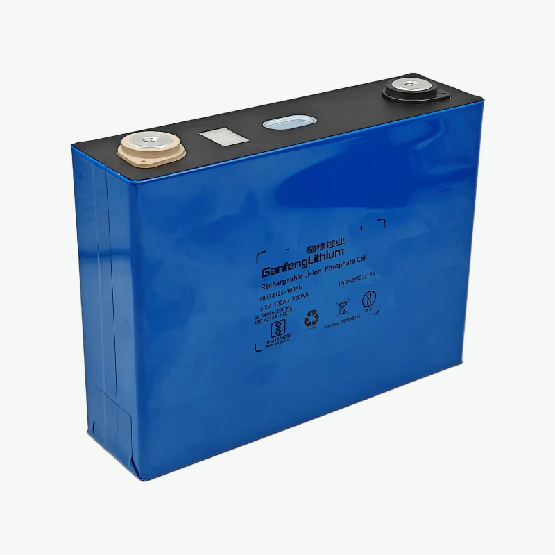 3.2V 100Ah LiFePO4 Prismatic Battery Cell (Ganfeng Lithium)