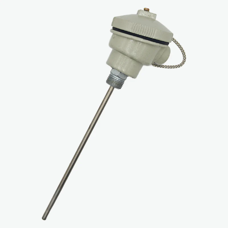 PT100 Head Type Thermocouple Temperature Sensor with 10 inch Long probe - Image 3